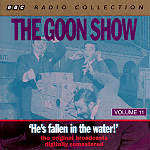 Fallen in the water.jpg