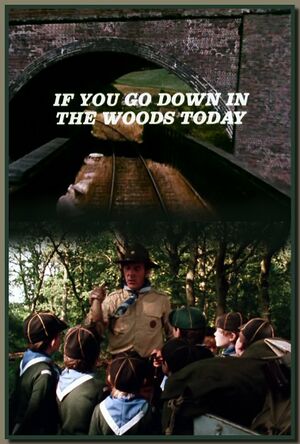 If You Go Down in the Woods Today.jpg