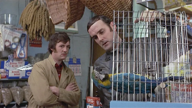 File:Dead Parrot sketch.webp