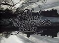 The Black Adder.jpg
