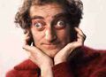 "The Marty Feldman Comedy Machine".jpg