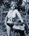 Thumbnail for version as of 15:44, 17 March 2023