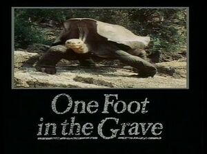 One Foot in the Grave title card.jpg